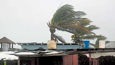 Photo of 4级飓风“梅丽莎”直扑牙买加