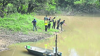 Photo of 斯汀河近河鱼死因 河内氧量低氨含量高