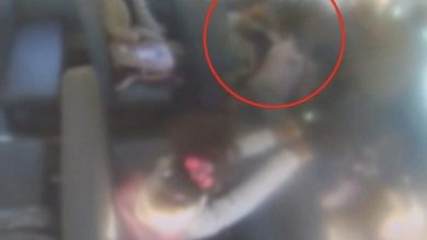 Photo of “再揍，我要看到她哭！” 父指示女儿反击霸凌者被捕