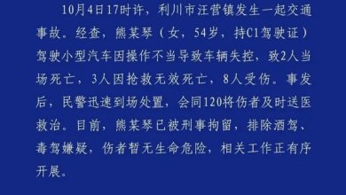 Photo of 中国54岁女子开车撞人群酿5死8伤　警方喊“操作不当”遭质疑