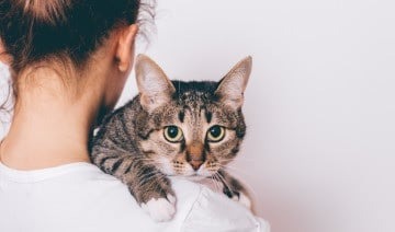 Photo of 兄姐不理父母只会争产 女子心寒立遗嘱 “我遗产宁愿给猫！”