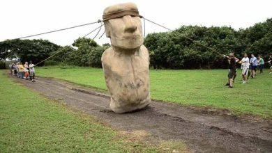 Photo of 【视频】复活岛石像 终于动起来!