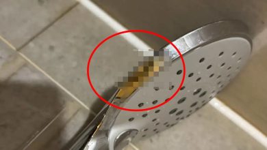 Photo of 女旅客住连锁酒店惊见花洒疑沾粪便　职员换房再提退租