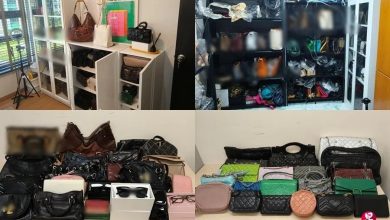 Photo of 涉网卖逾13万令吉冒牌货 狮城警方捕2女