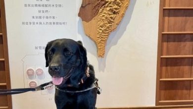 Photo of 故事馆拒绝导盲犬 志工呛看不到进去也没用 视障女心如刀割