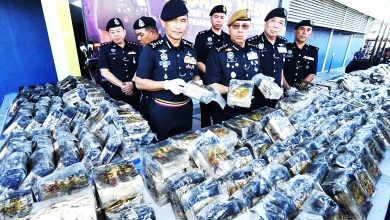 Photo of 伪装冻干榴梿 警起值逾1294万冰毒海洛因碱