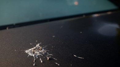 Photo of 研究揭“最易中雀屎”汽车品牌 特斯拉日产上榜 这些颜色最危险