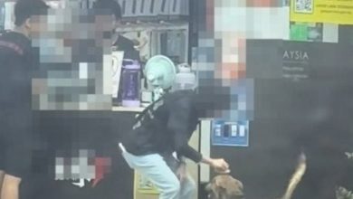 Photo of 她这样抚摸流浪狗 感动网民
