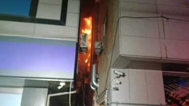 Photo of 韩女喷火灭蟑螂引火灾 中国女子逃生时坠亡
