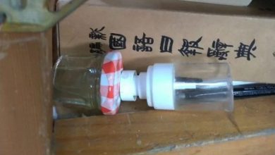 Photo of 黄金葛汁掺水壶毒害男同学！3女童和家长被求偿14万…判决出炉