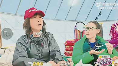 Photo of 刘嘉玲就不生 被逼传宗接代