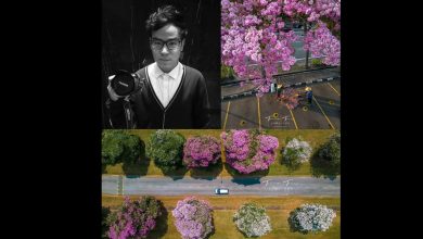 Photo of 行李箱藏尸案 “希望在另一个世界,你能看见最美的花”——摄影圈痛悼李文瀚