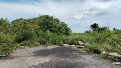 Photo of 行李箱藏尸案 弃尸地点 就是这里!