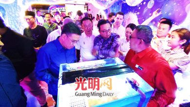 Photo of 【水蓝槟城海洋艺术展】134年前槟海域发现 六触臂海星标本现艺术展