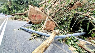 Photo of 17处树倒落石土崩 浮罗新路全面关闭