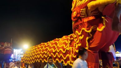 Photo of 雨夜不减热情 东盟最大瑞狮亮相