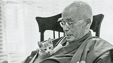 Photo of 【这里那里】绕着铃木大拙走走