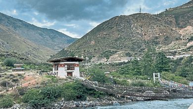 Photo of 【自游自在】慢下来深呼吸