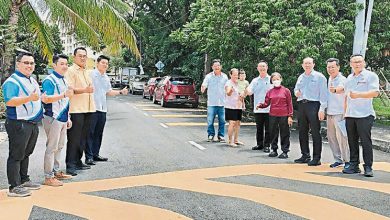 Photo of 市厅拨款36万 麦曼珍7路重铺