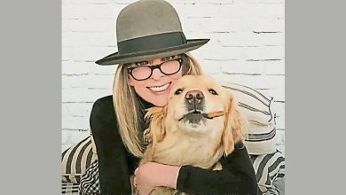 Photo of 奥斯卡影后戴安姬顿离世 遗产留宠物犬