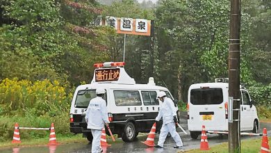 Photo of 日野熊再袭人 露天温泉员工遭拖走杀害