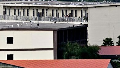 Photo of 缅甸诈骗中心迅速恢复扩张 美国查星链是否为虎添翼