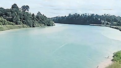 Photo of 郑国霖：宜力霹雳河泛蓝 已抽样检测报告今出炉