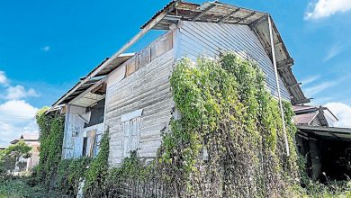 Photo of 老屋荒废3年蛇虫出没 屋主快联系适耕庄C村