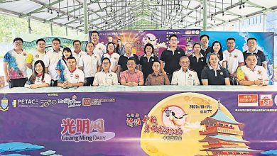 Photo of 青联委周六中秋园游会 五大主题邀您逛社尾公园