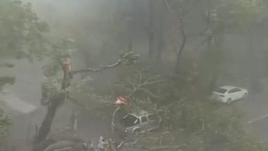 Photo of 遭断树根砸伤 17岁女生下半身恐瘫痪