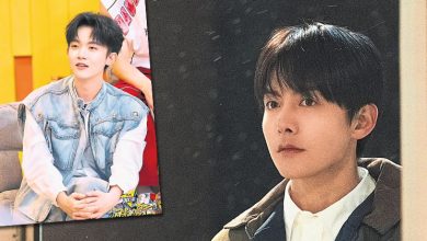 Photo of 重谈李明德事件 马天宇：没招了