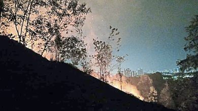 Photo of 出动27消拯员 无拉港山火  5小时扑灭