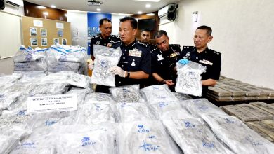 Photo of 2车藏毒 警起530万大麻