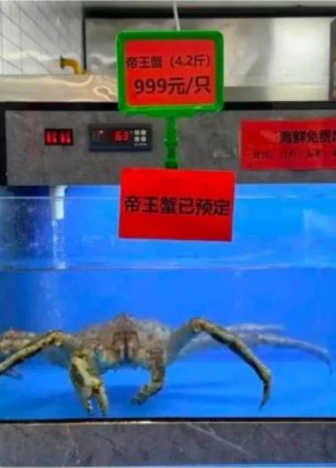 南大一食堂供应的帝王蟹等海鲜。(人民网江苏/上游新闻)