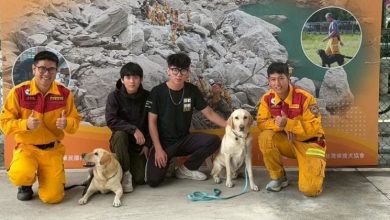 Photo of 台花莲搜救犬HERO 获国际救援资格