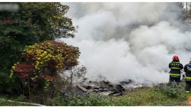 Photo of 住宅犬舍连烧 100只狗葬身火海