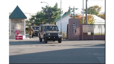 Photo of “熊杀13人”日本自卫队出动扑杀  保熊派抗议