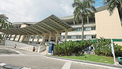 Photo of 林添顺：医护人员越堤就业 柔设特别小组探讨良策
