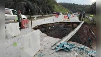 Photo of 受山体滑坡影响 往话望生D29公路全面关闭