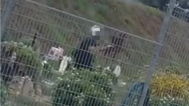 Photo of 男子戴头盔墓地练武 27秒诡异视频疯传