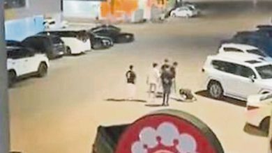 Photo of 2青年遭围殴被拍上网 居銮警捕5男助查