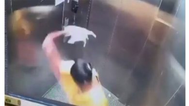 Photo of 女佣电梯内摔死小狗 谎称散步猝死还偷金逃逸