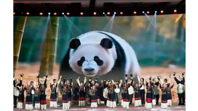 Photo of 中国举办全球熊猫伙伴大会 熊猫圈养种群突破808只