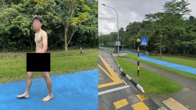 Photo of 狮城读书压力大? 学生裸行被捕