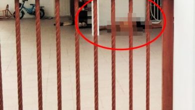 Photo of 倒卧住家前院 热线无人接听 救护车上门 老翁已死