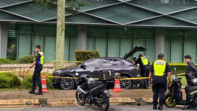Photo of 拒检撞警逃跑 3印尼男撞树落网