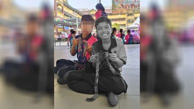 Photo of 活泼自闭童溺水不治 母亲: 曾经的吵闹 已不复存在