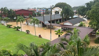 Photo of 全国水灾| 水淹育民小学 家长纷纷接孩子回家