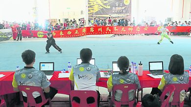Photo of 首届全国传统武术赛 明年让全民同台竞技