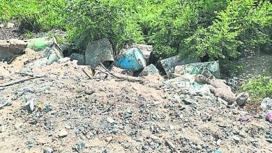 Photo of 疑非法弃废料毒死17头牛 牛主损失5万须查源头